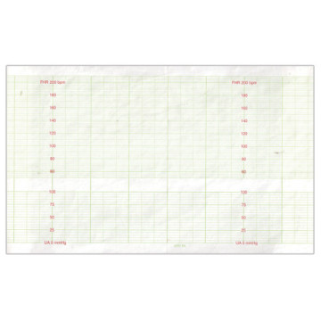 Rotolo carta per codice 29531-152mmx25m conf. 10 pz