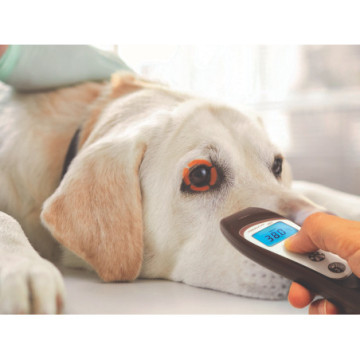 TERMOMETRO A DISTANZA VETERINARIO VISIOFOCUS con Bluetooth