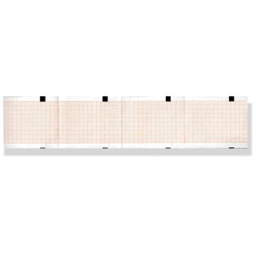 Carta termica ECG 63x75mm CF/25