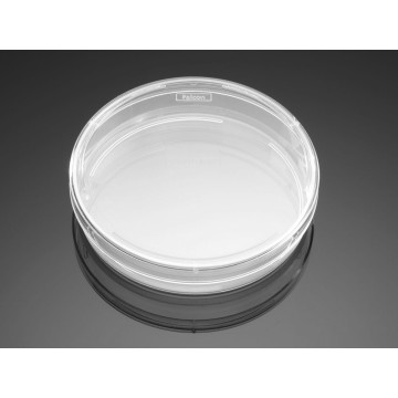 Piastra di Petri FALCON 100 x 20 mm OPTILUX CF/200